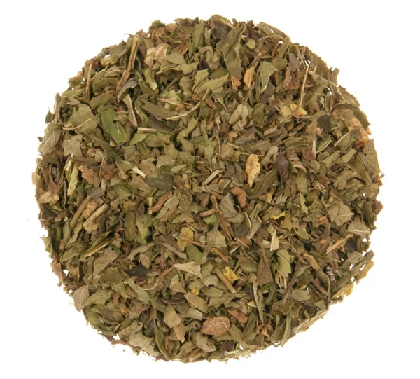 Organic High Mountain Peppermint & Ginger Tea 051